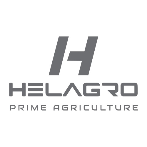 logo 16