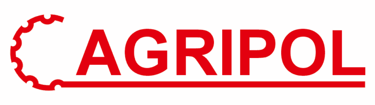 logo 19
