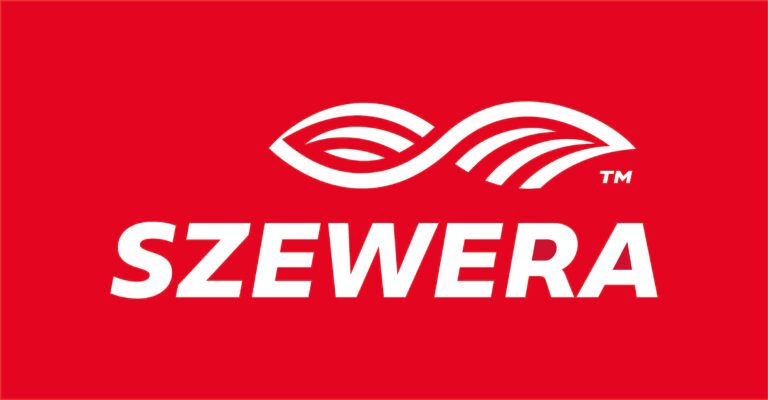logo 31