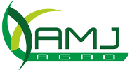 logo 36